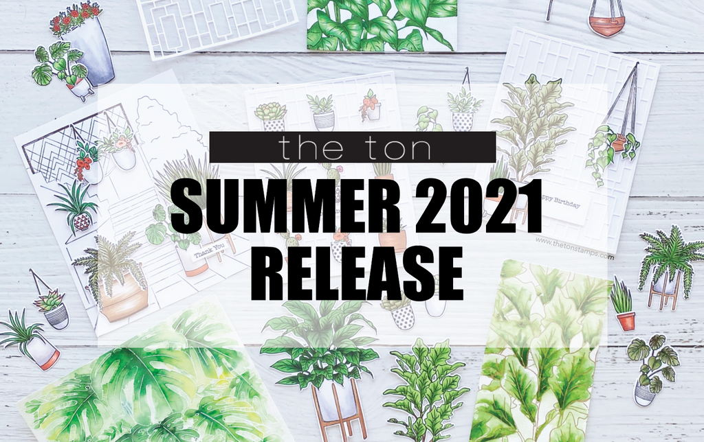 Summer 2021 Release
