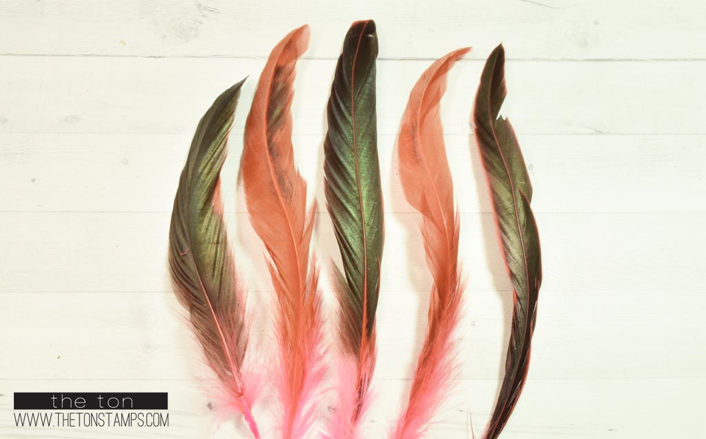 Feathers - Pink Long