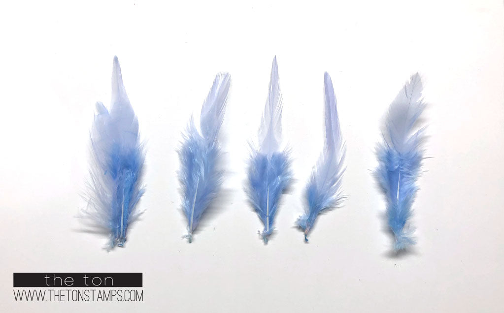 Feathers - Soft Blue Simple