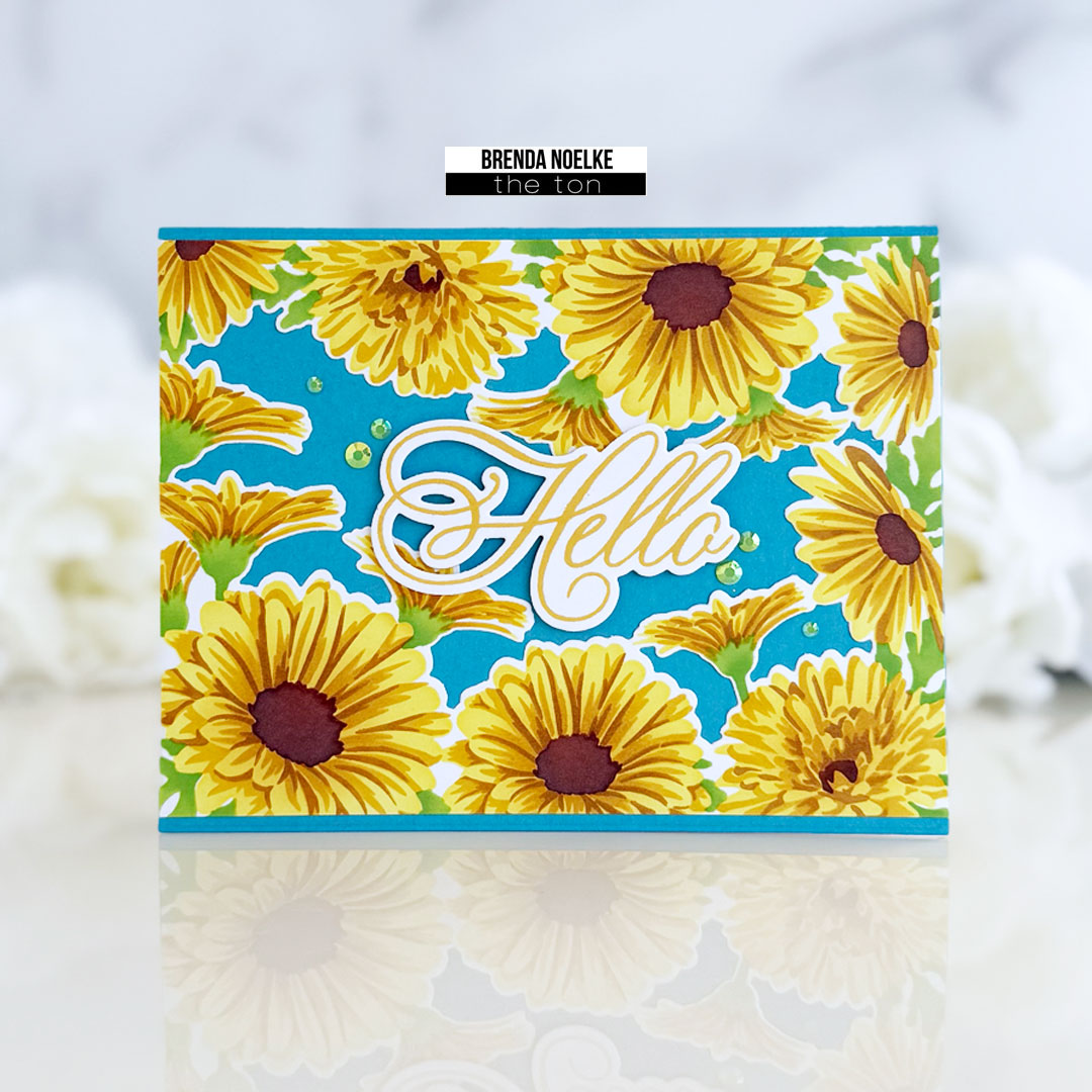 Hello - Daisy Border Layering Stencil Set