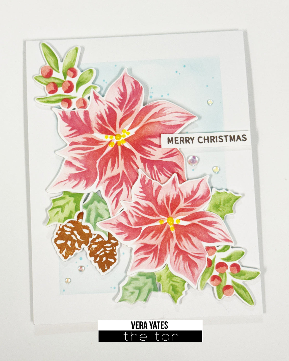 Christmas Poinsettia Wishes