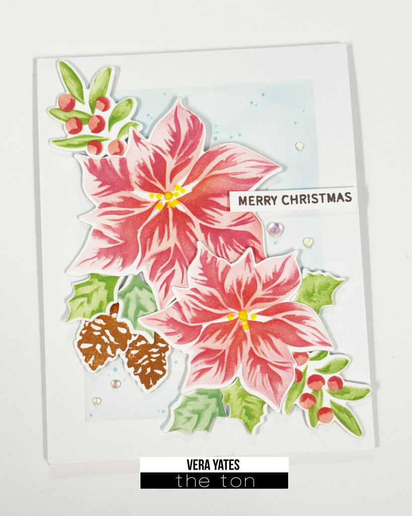 Christmas Poinsettia Wishes