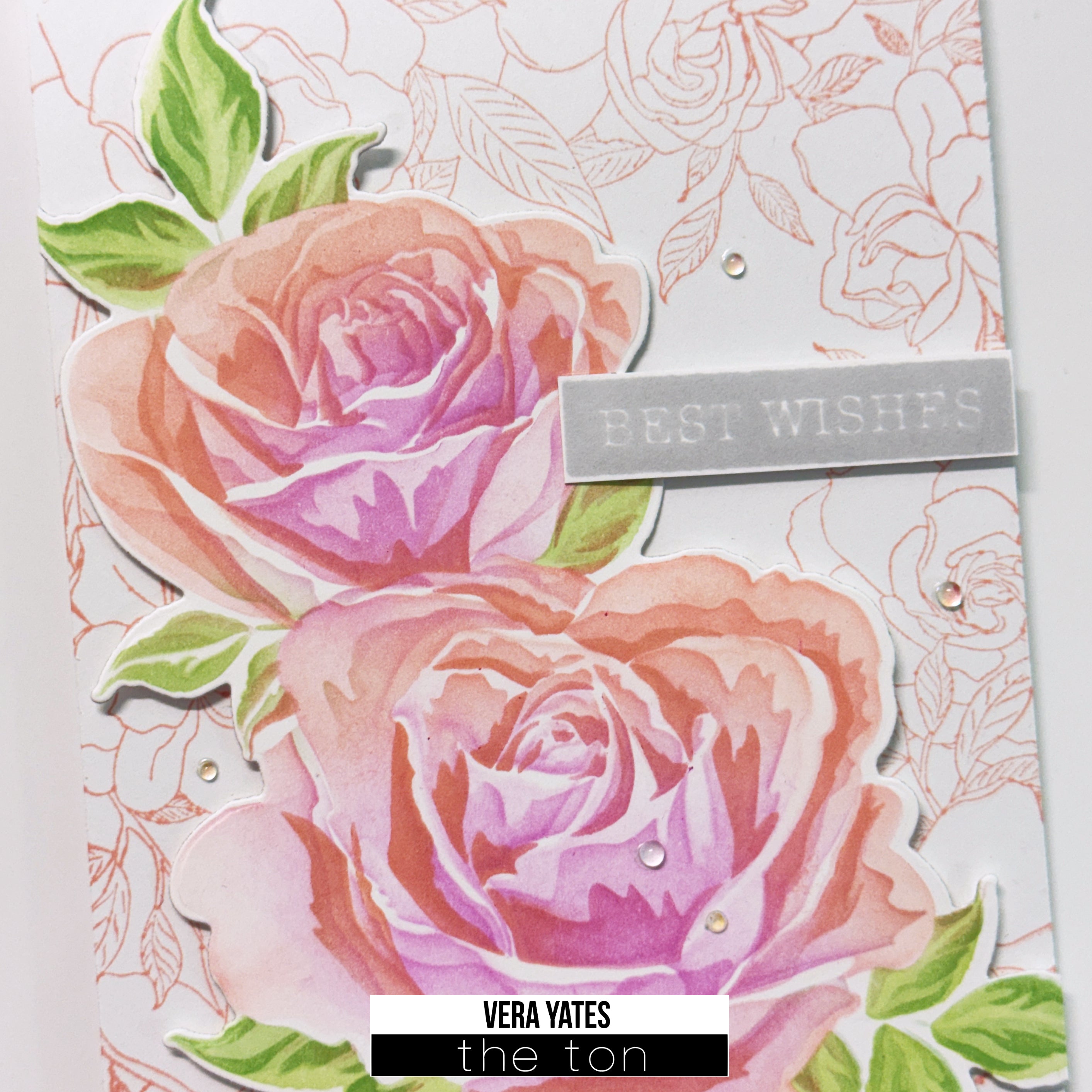 Best Wishes Roses