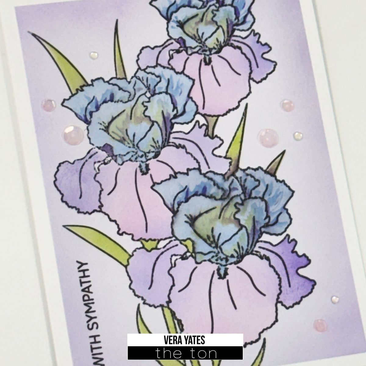 Sympathy Iris