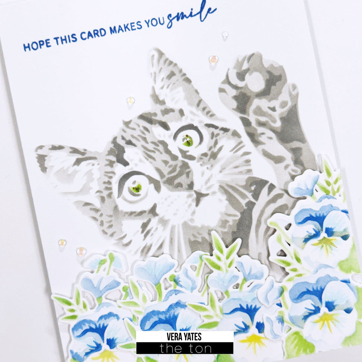 Cat & Pansies