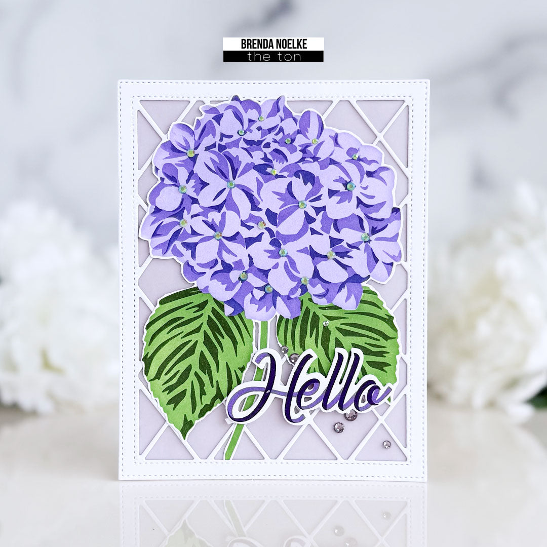 Hello - Lone Hydrangea
