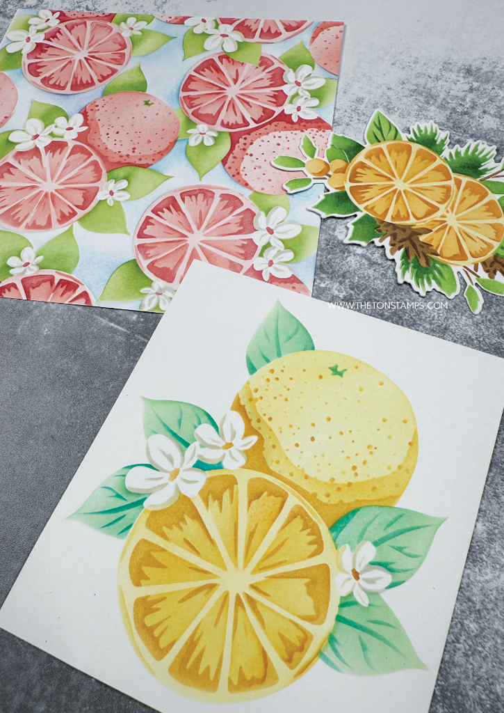 Holiday 2025 Release - Black Friday/Cyber Monday + Shipping Blackout Dates