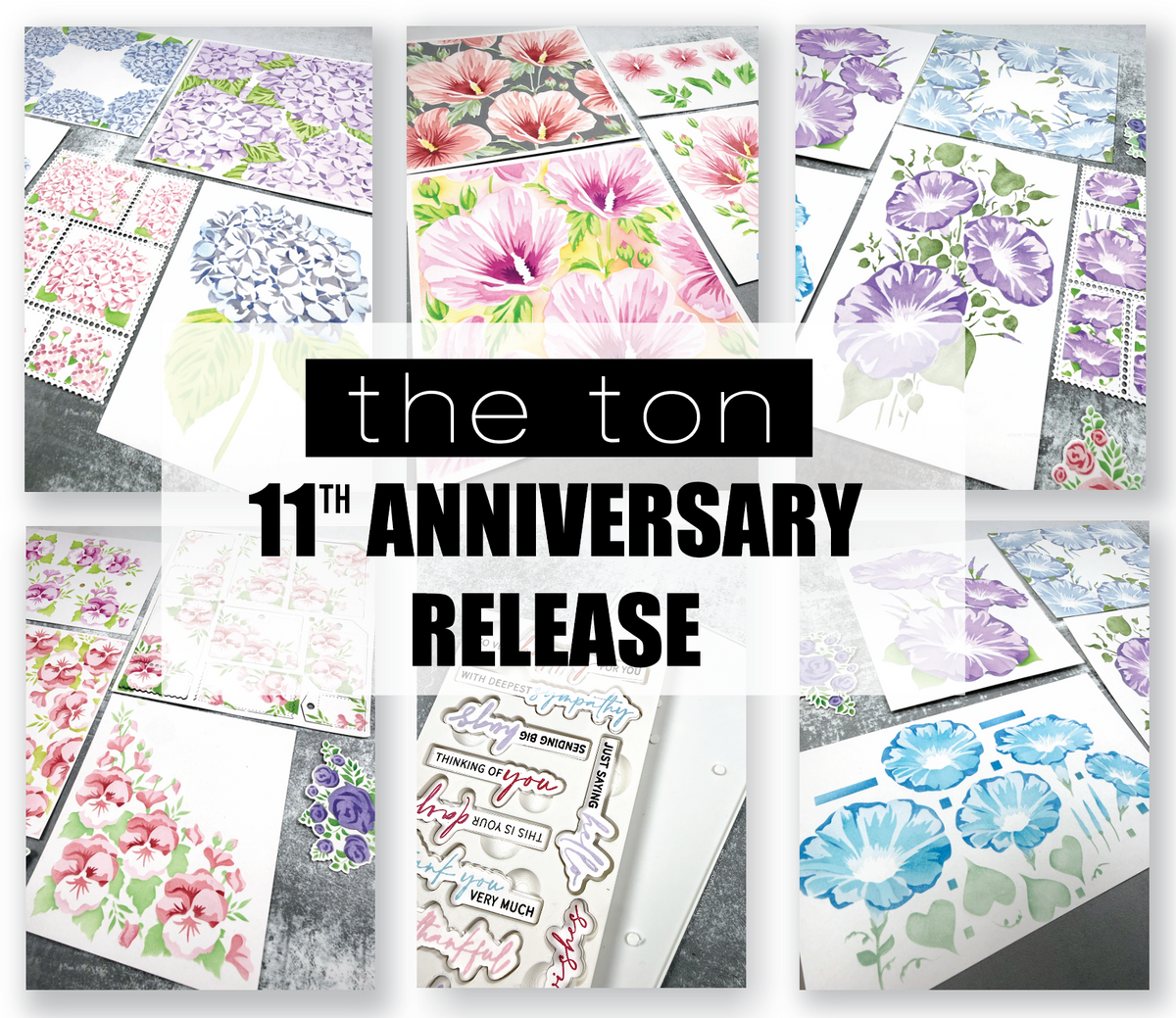 Anniversary 2026 Release