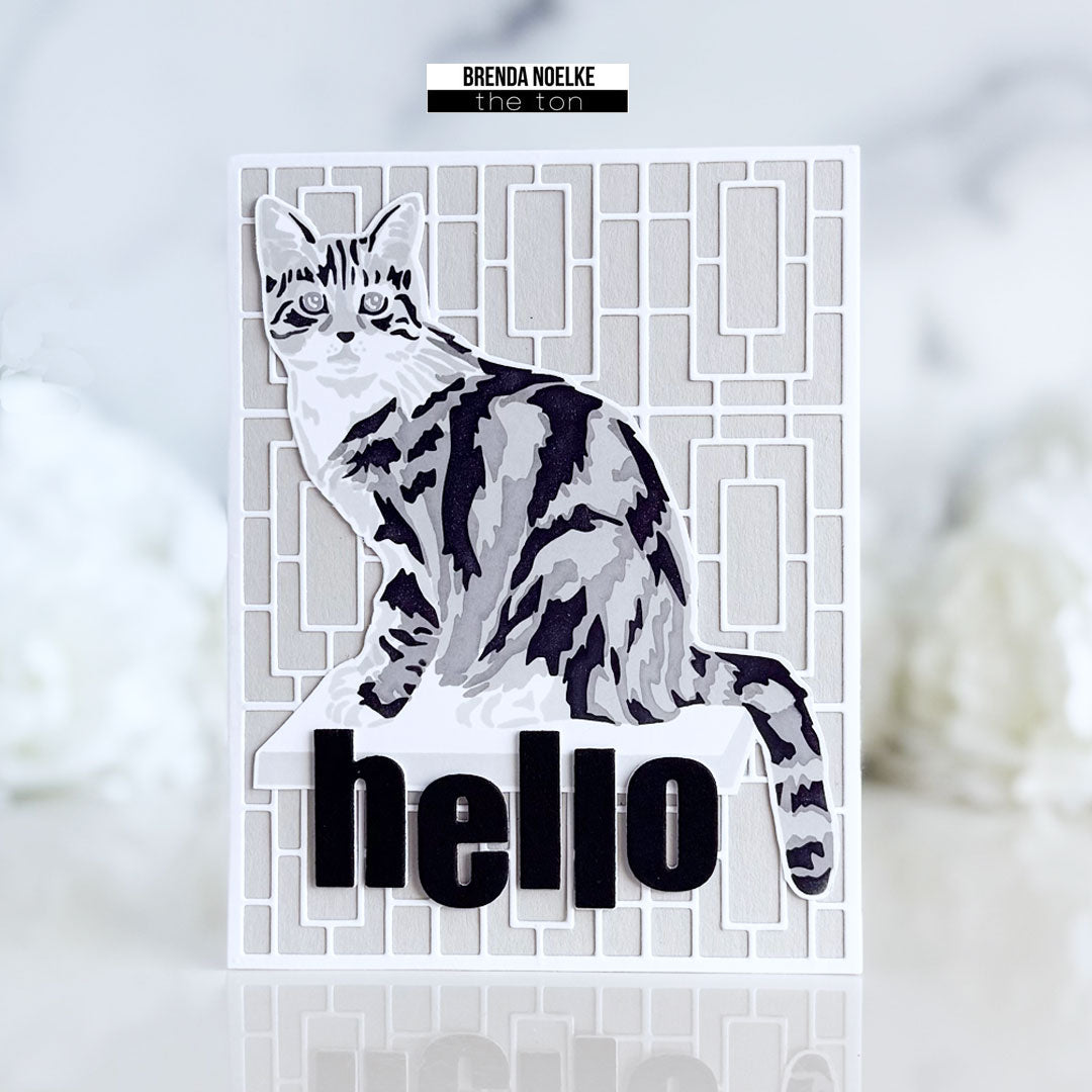 Hello - Seated Tabby