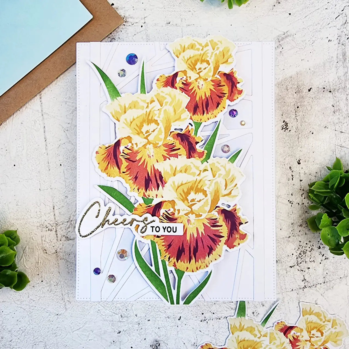 Climbing Iris Layering Stencils