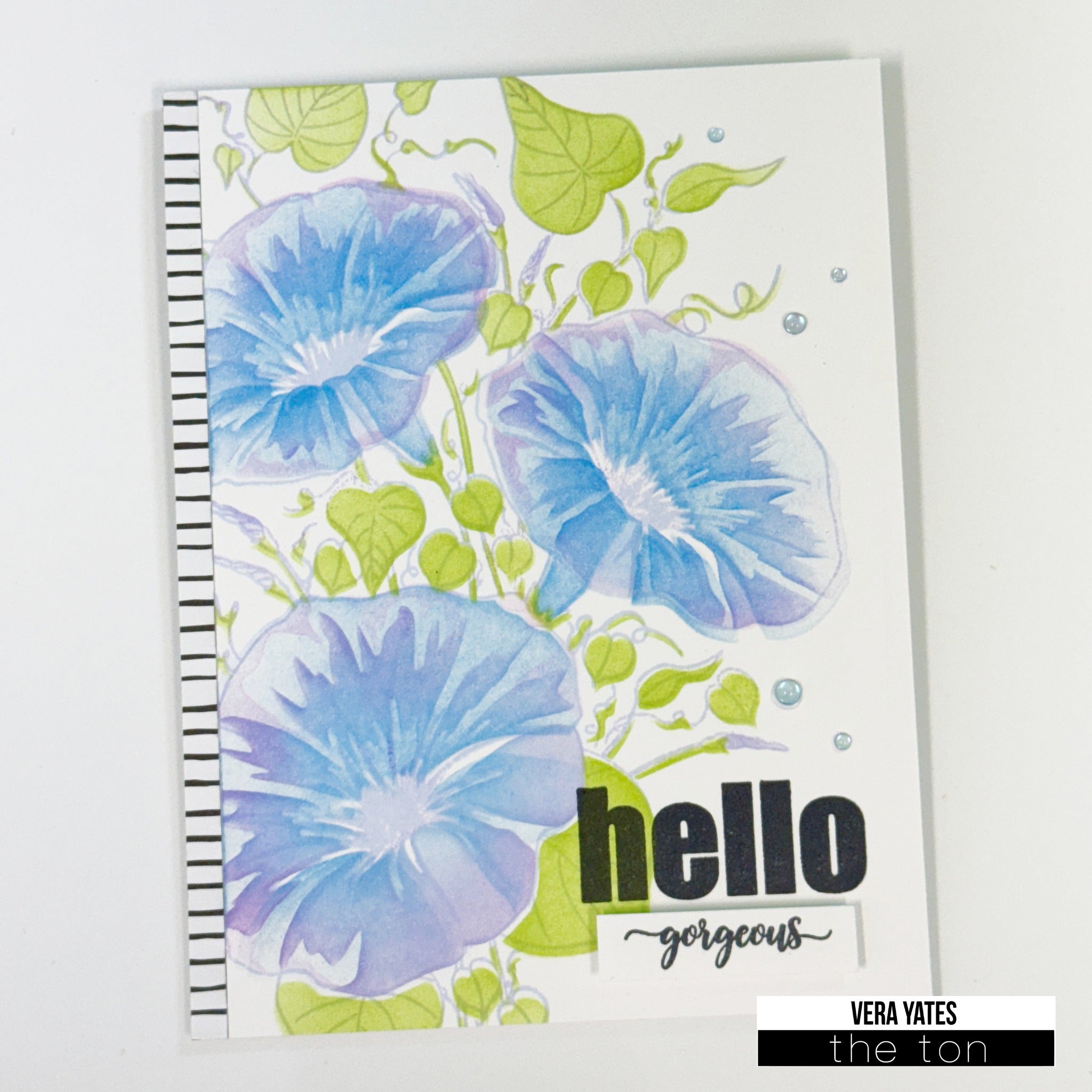 Climbing Morning Glories Layering Stencils