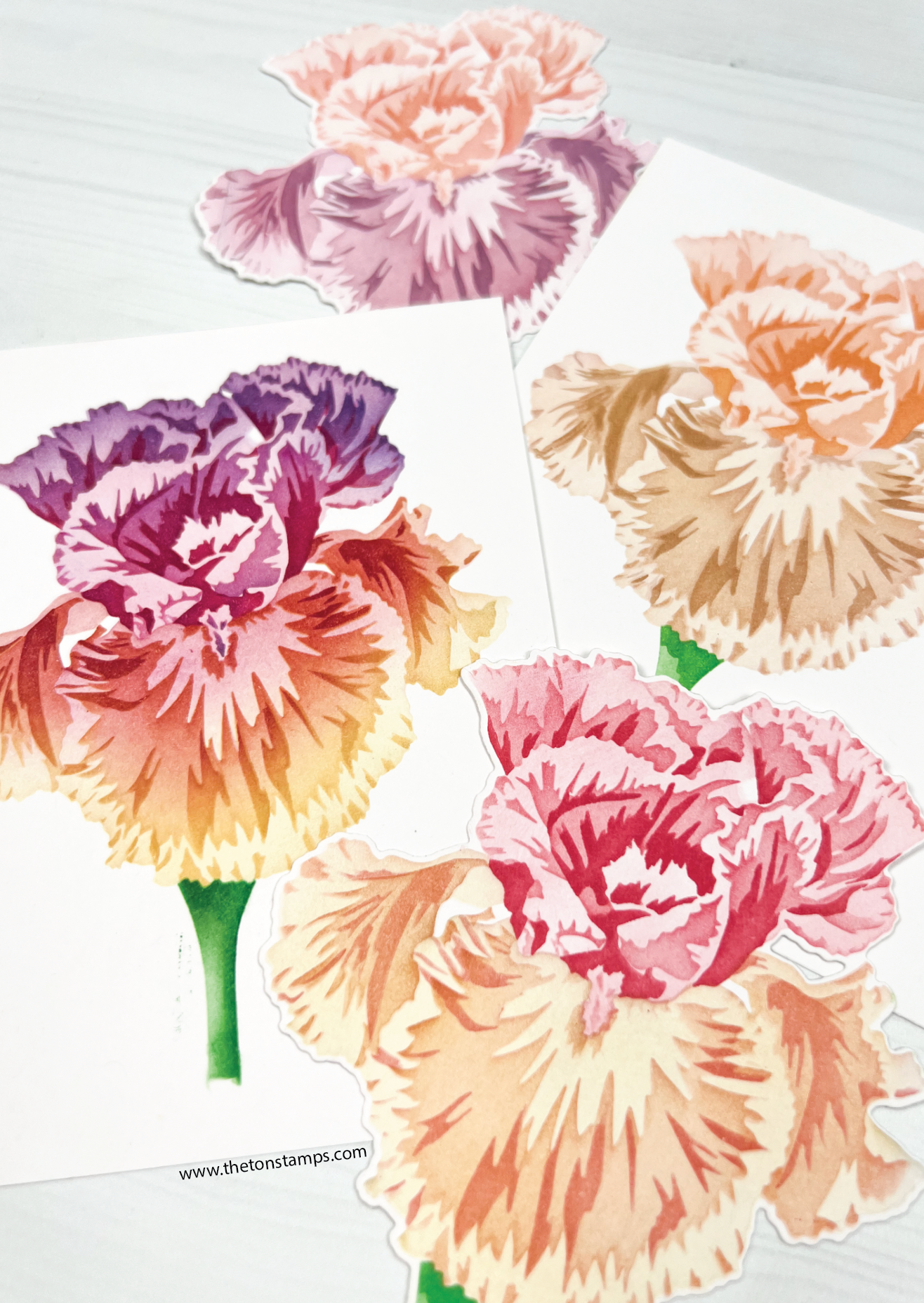 Jumbo Iris Layering Stencils
