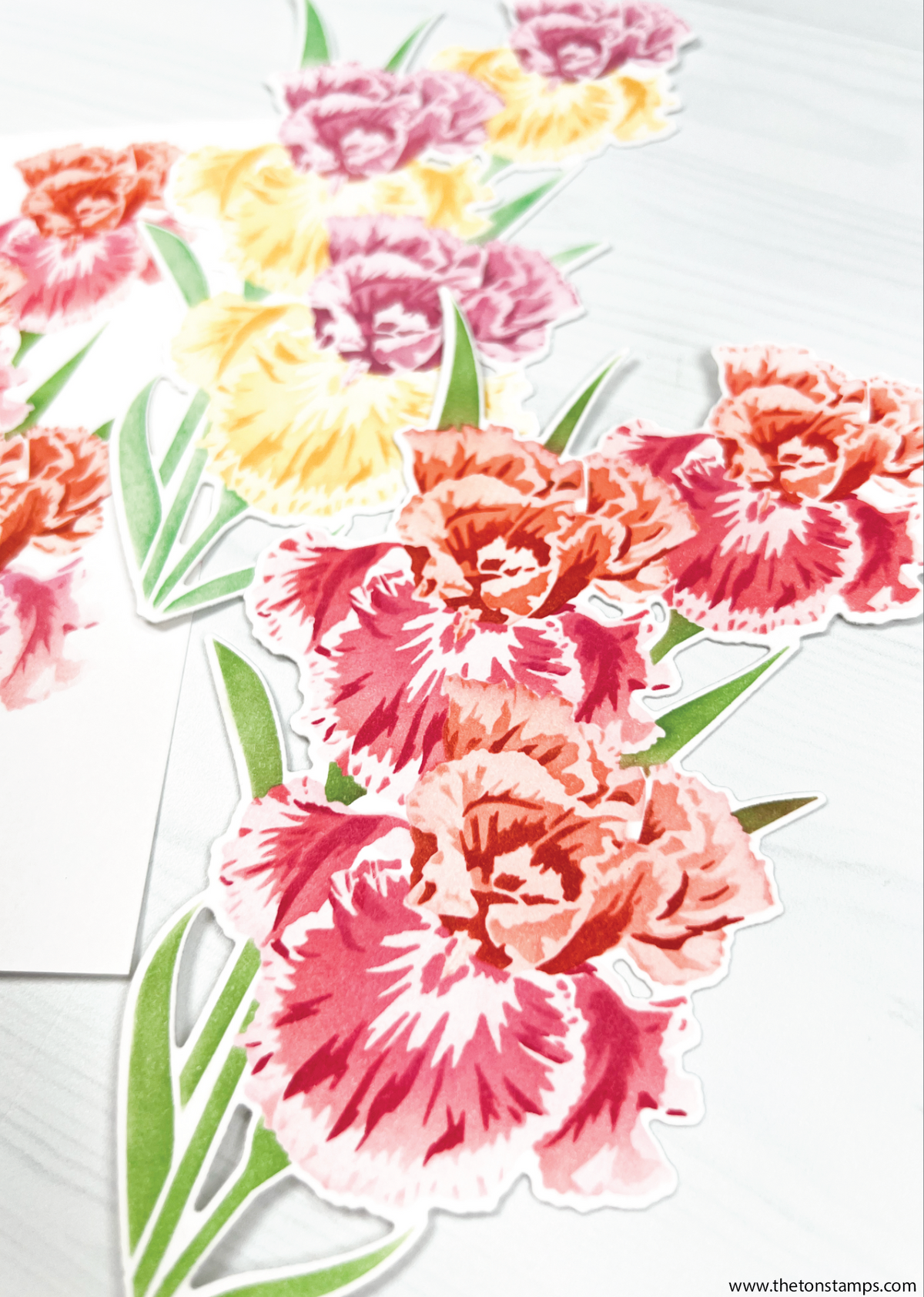 Climbing Iris Layering Stencils