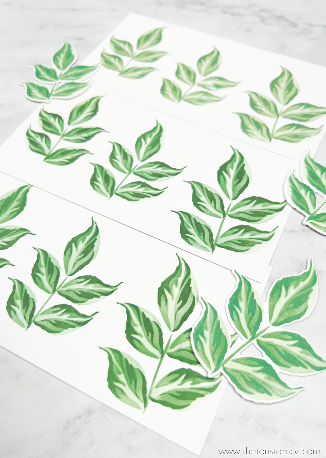 Rose Leaves Layering Stencils