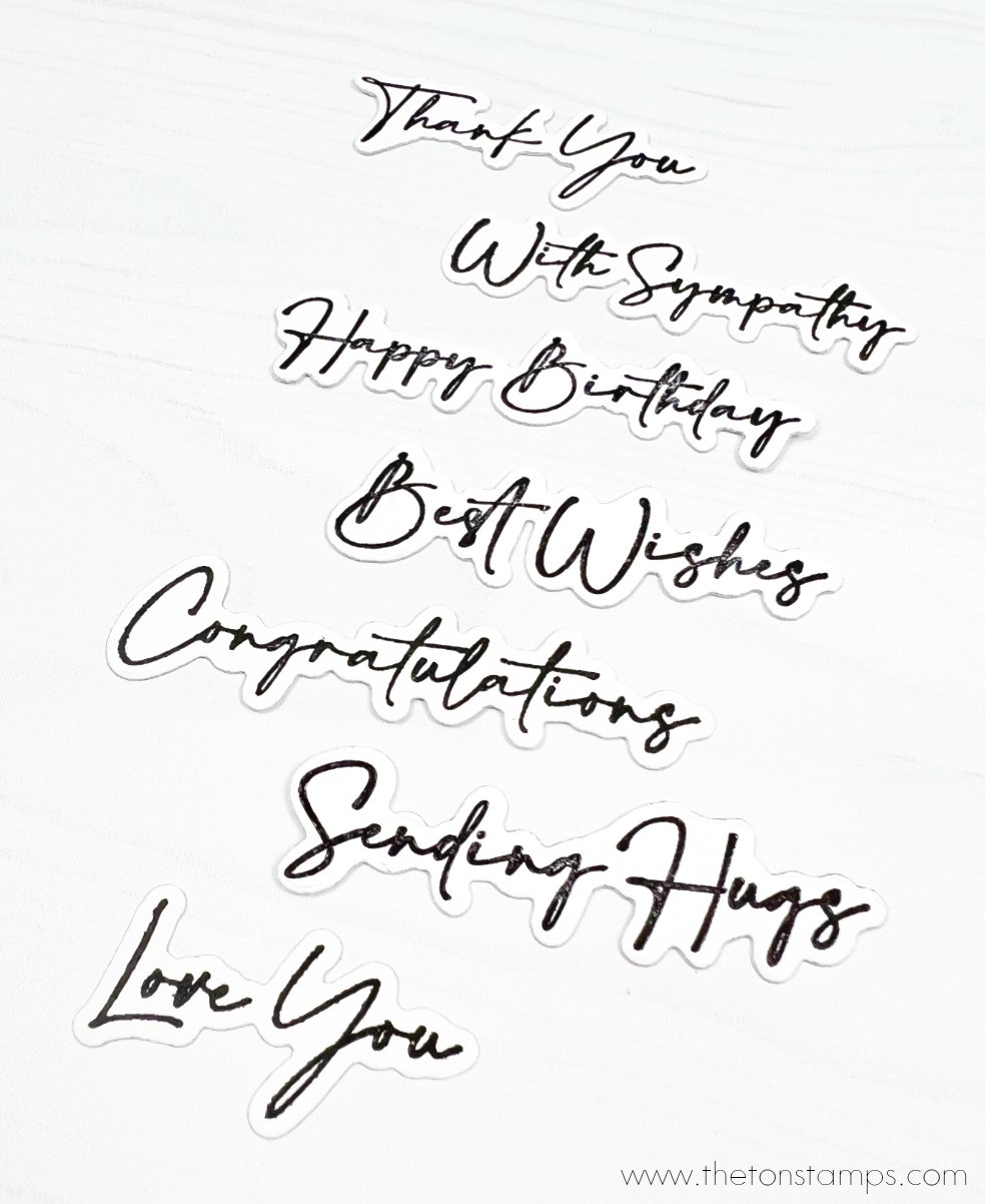 Script Notes
