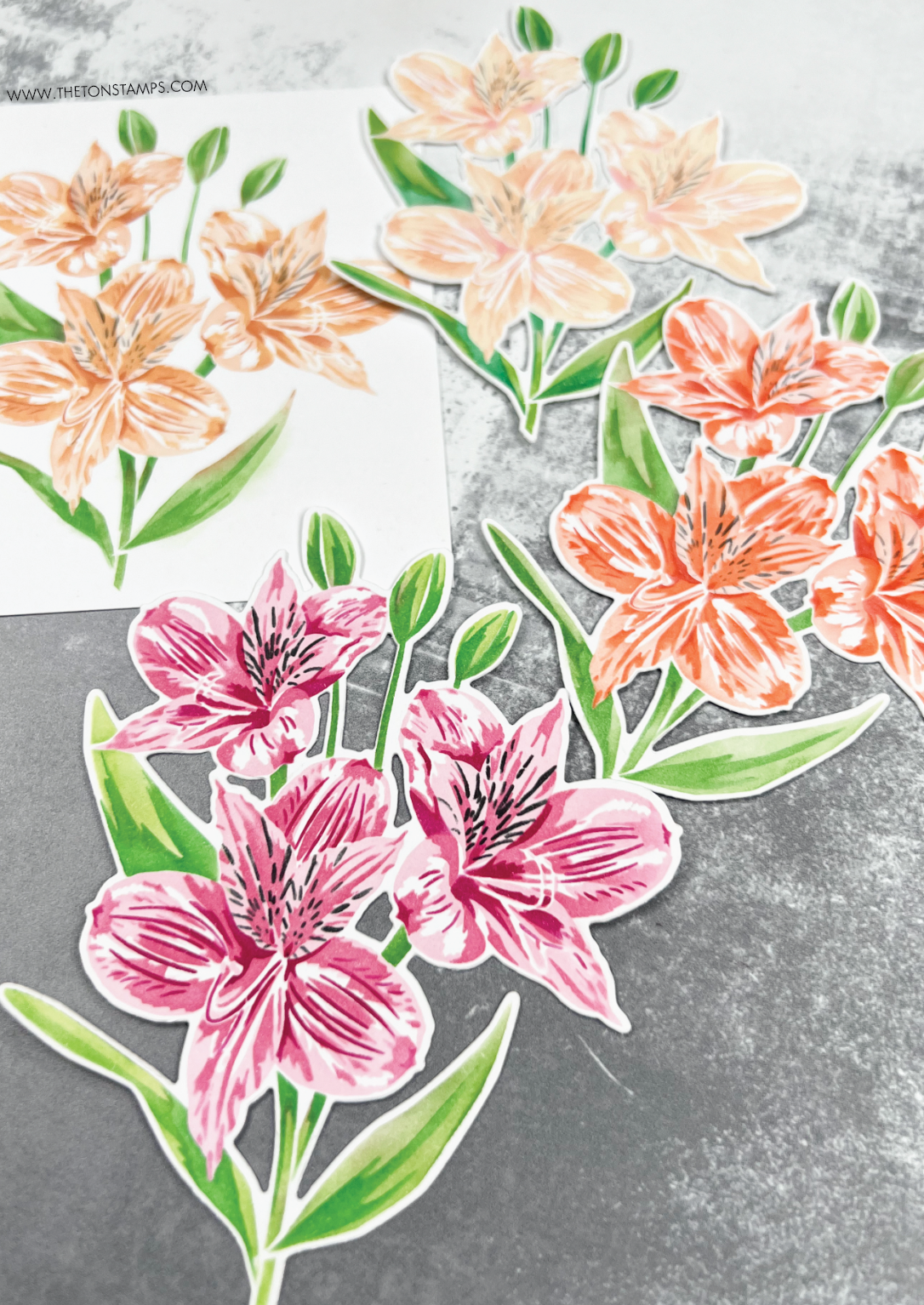 Climbing Peruvian Lilies Layering Stencils