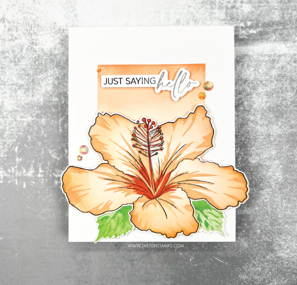 Blooming Hibiscus