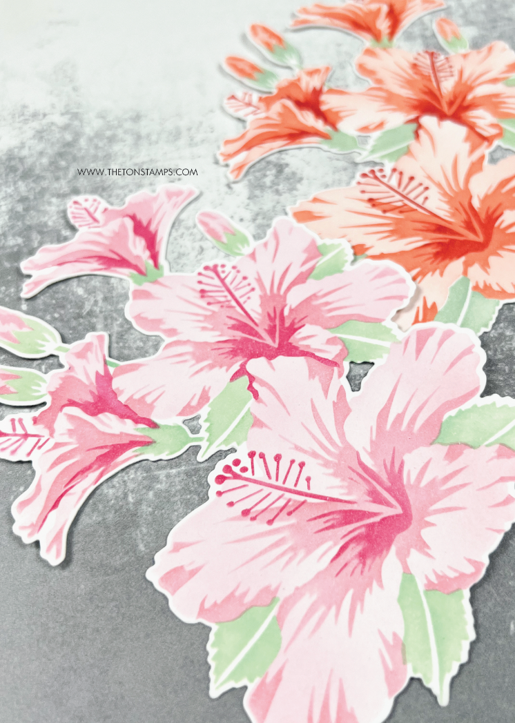 Climbing Hibiscus Layering Stencils