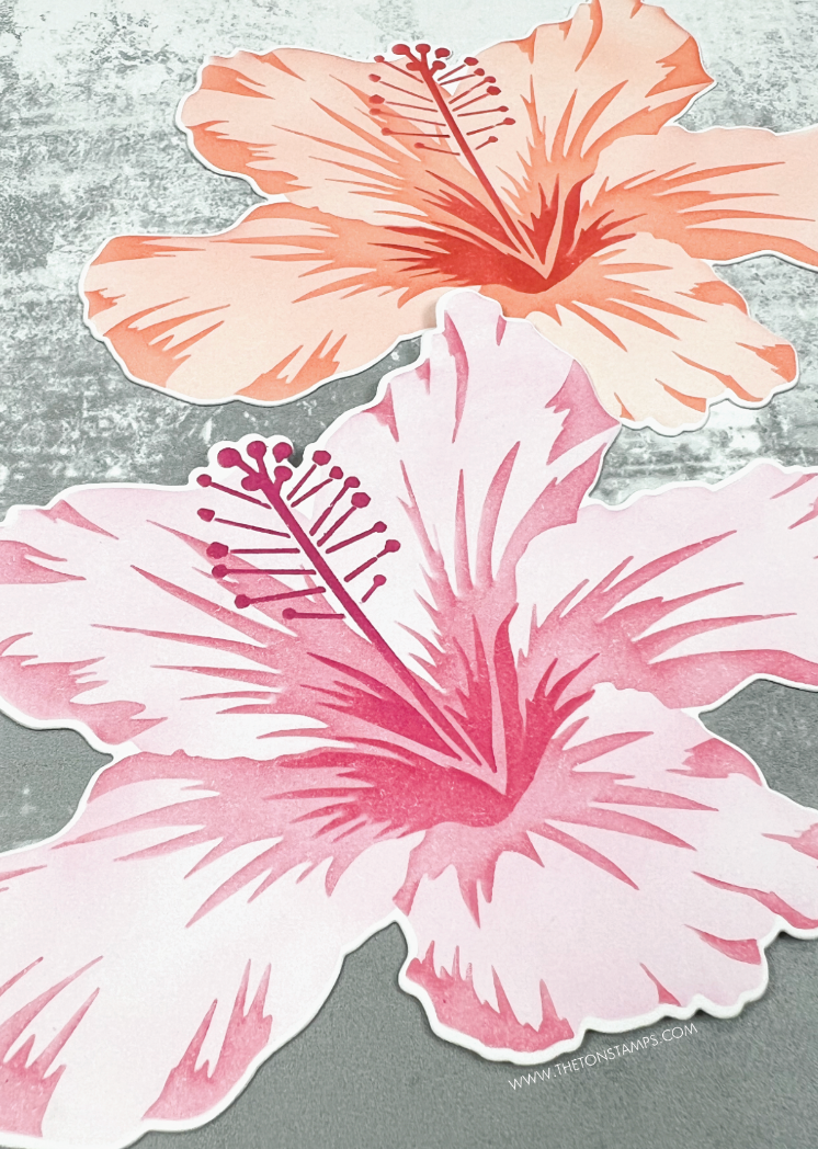 Jumbo Hibiscus Layering Stencils