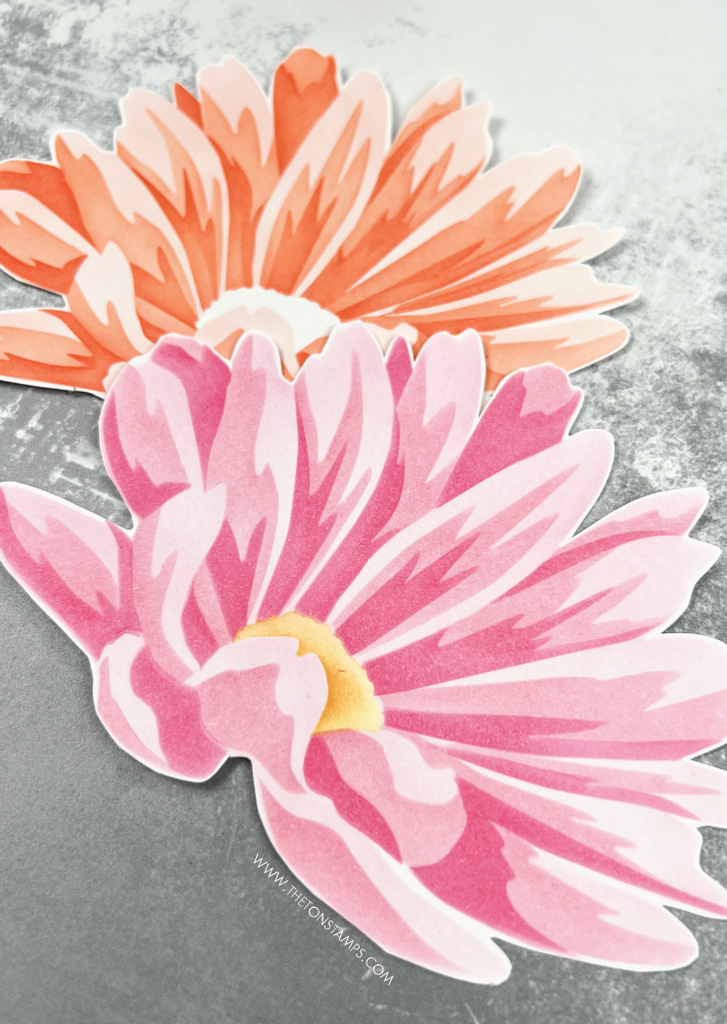 Jumbo Cosmos Layering Stencils