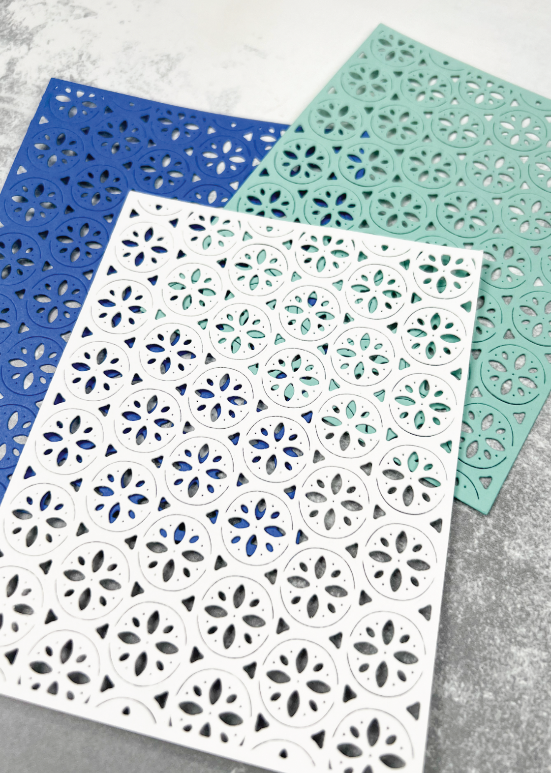Sand Dollar Coverplate Die