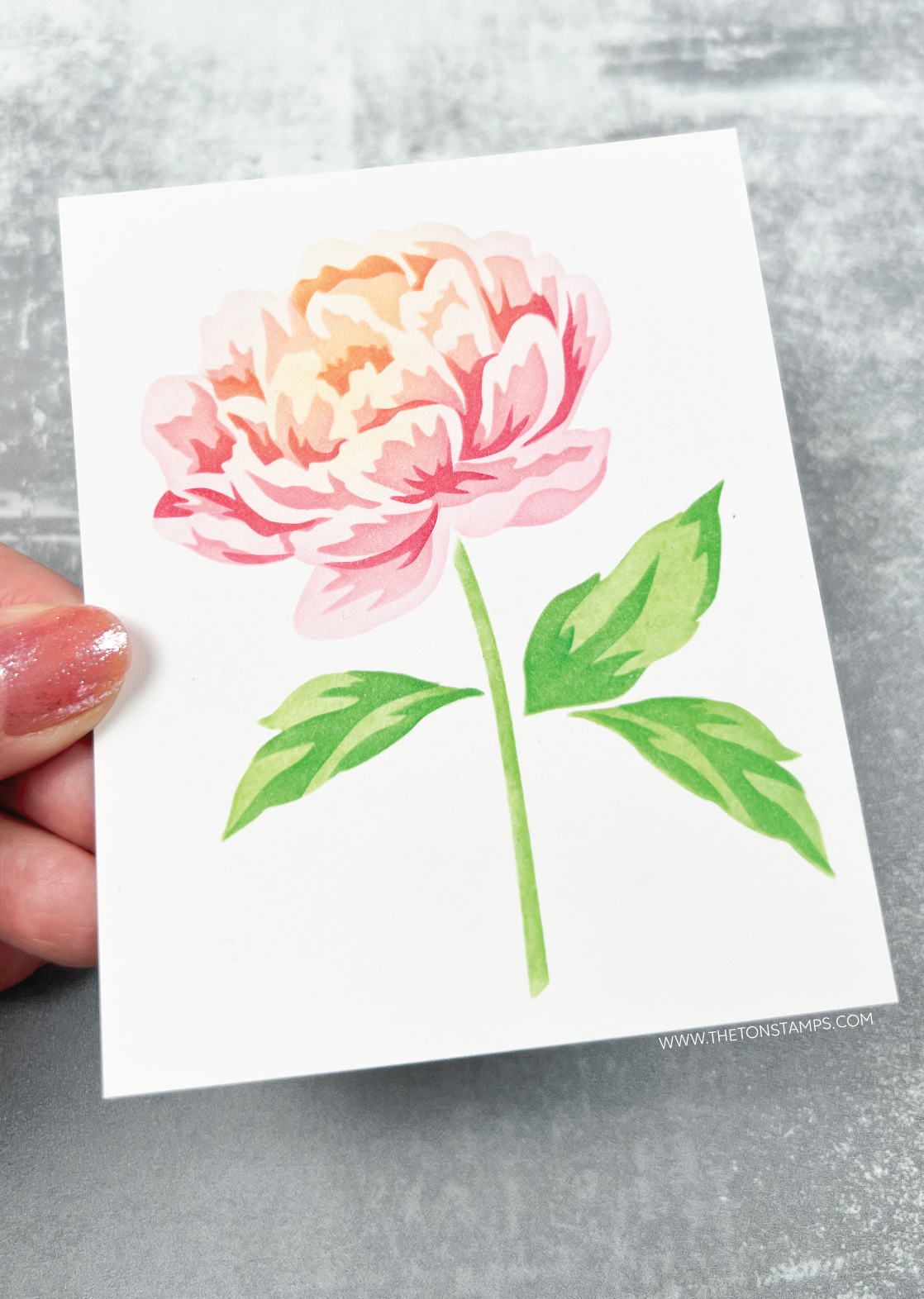 Peony Stem Layering Stencils