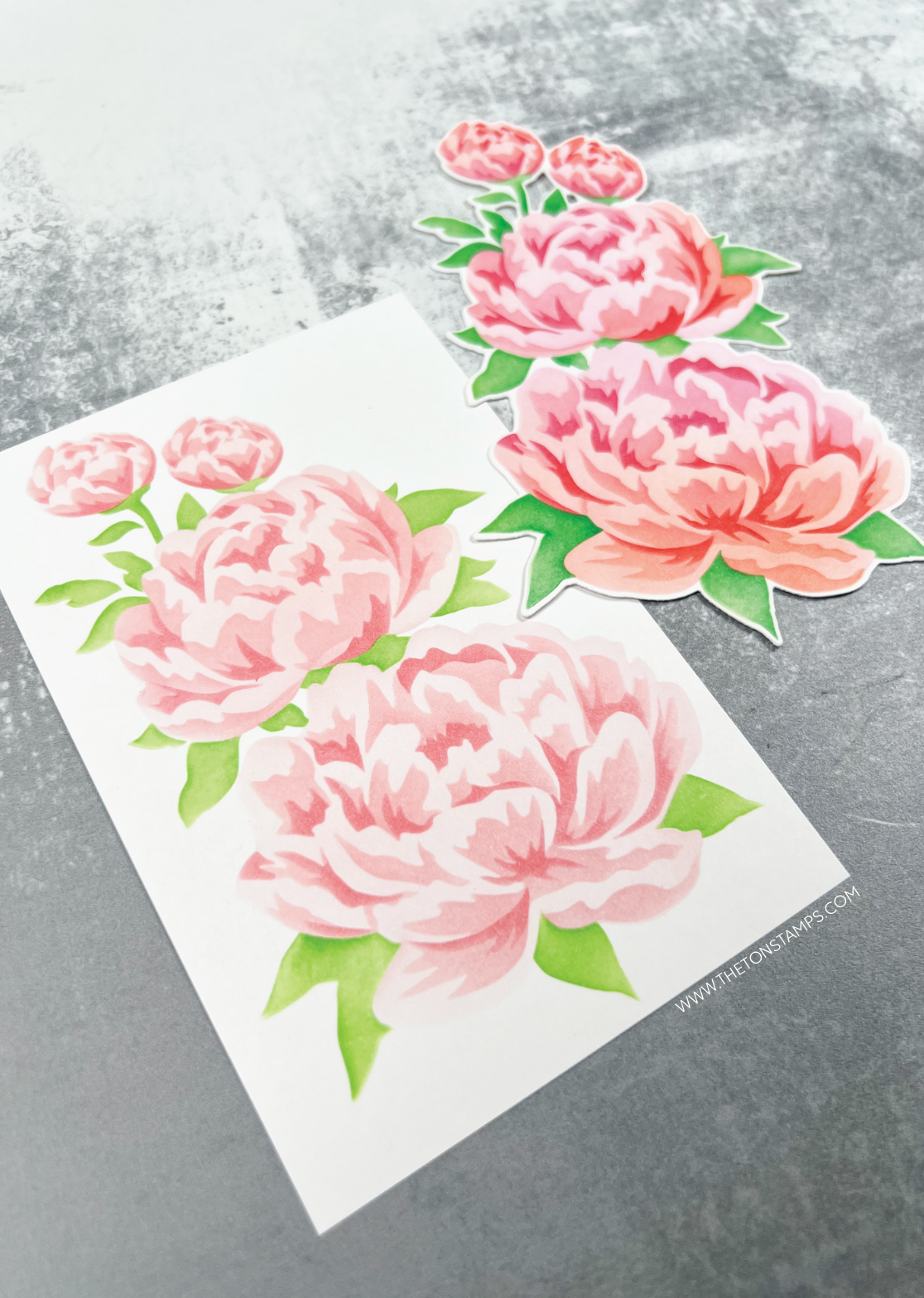 Stellar Peony Duet Layering Stencils