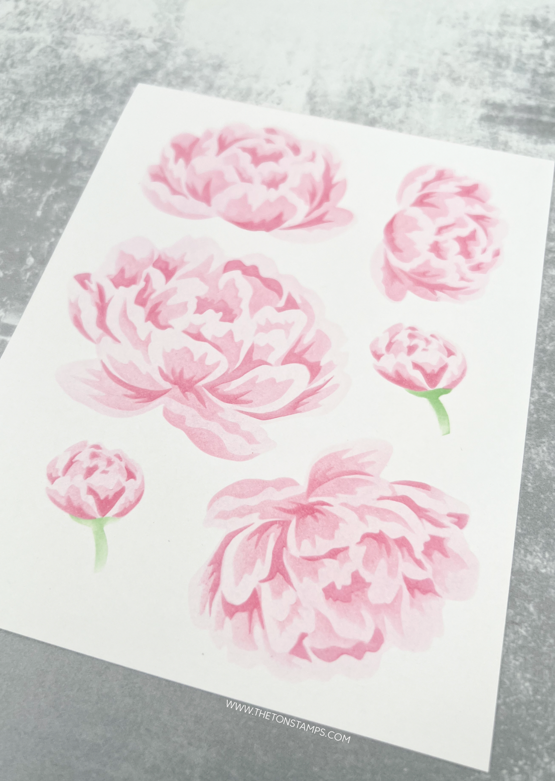 Plush Peonies Unlocked Layering Stencils