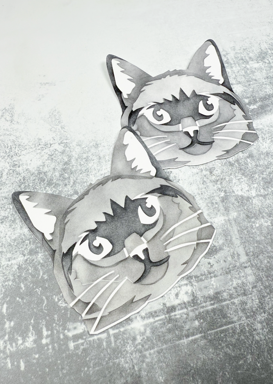 Kitty Close Up Stencils