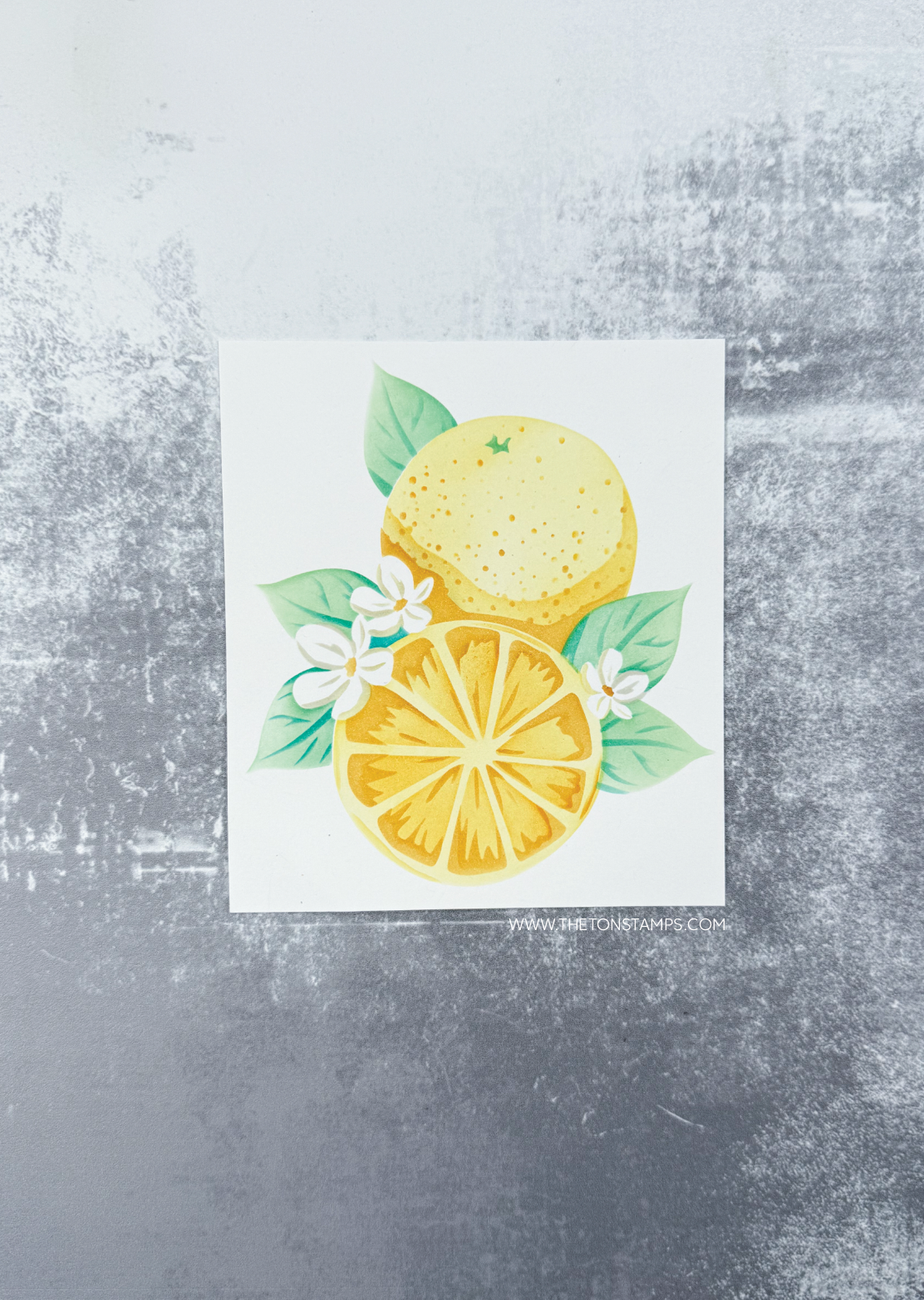 Sweet Citrus Duo Layering Stencils