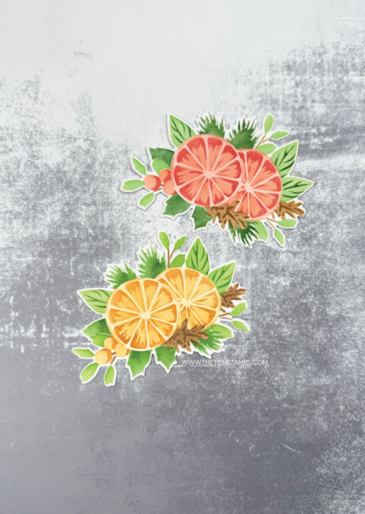 Holiday Citrus Layering Stencils
