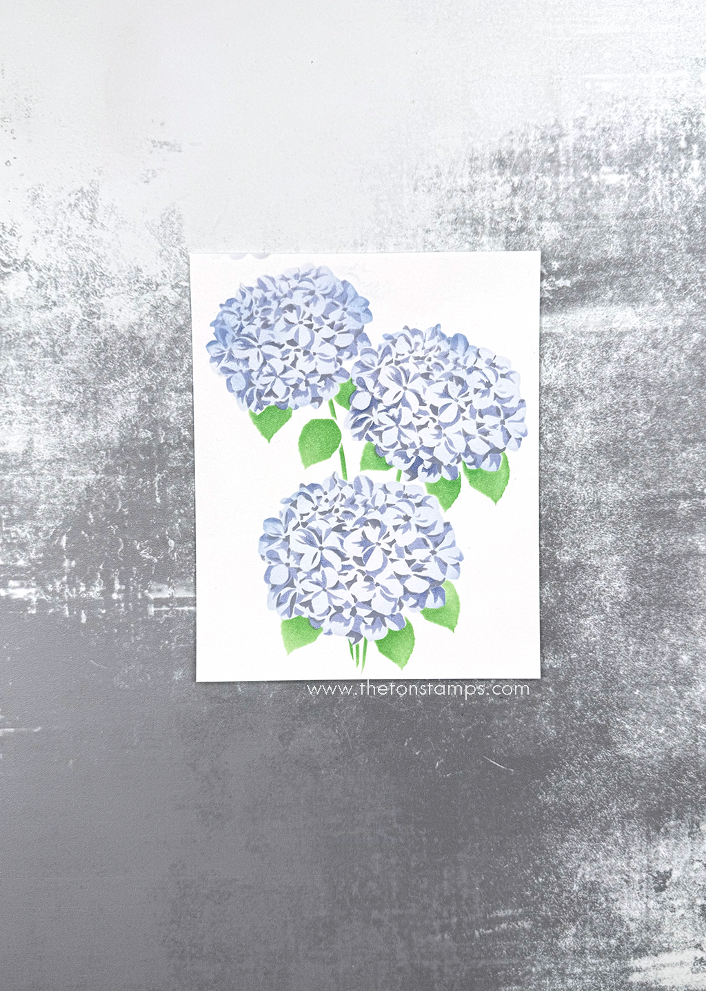 Climbing Hydrangea Layering Stencils