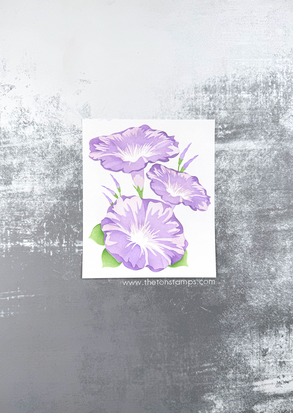 Morning Glory Trio Layering Stencils
