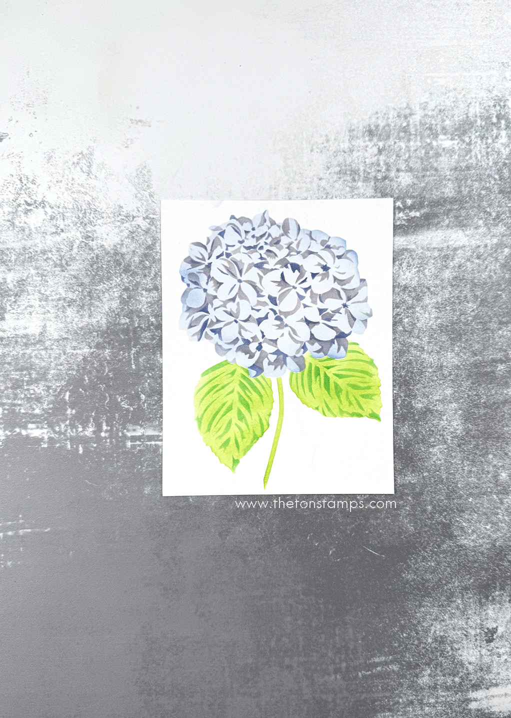 Lone Hydrangea Layering Stencils