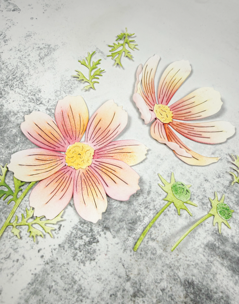 Cool Cosmos Layering Dies