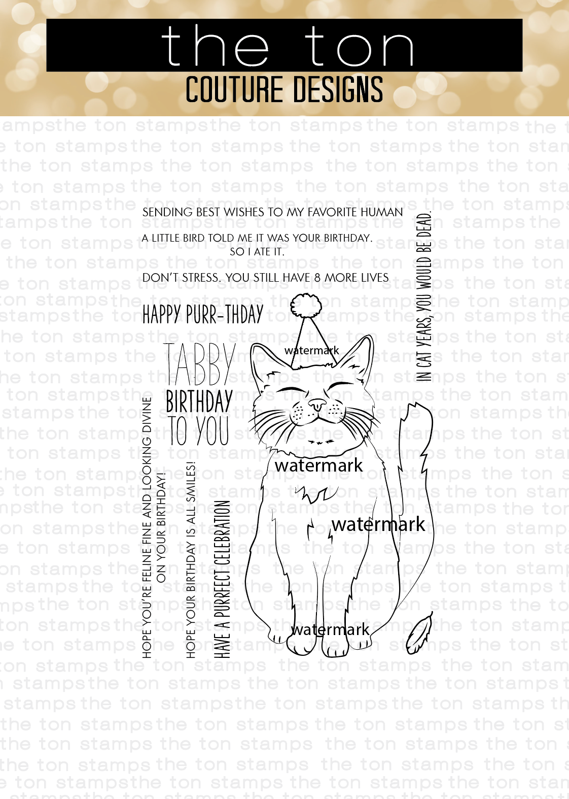 Birthday Cat