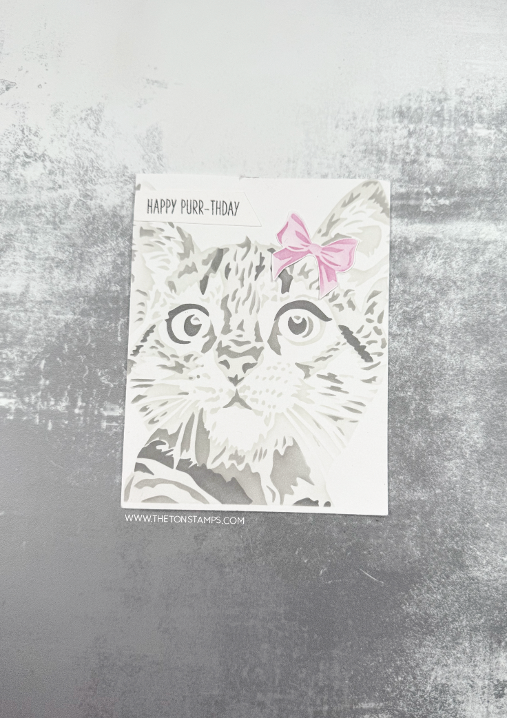 A2 Kitty Stencils