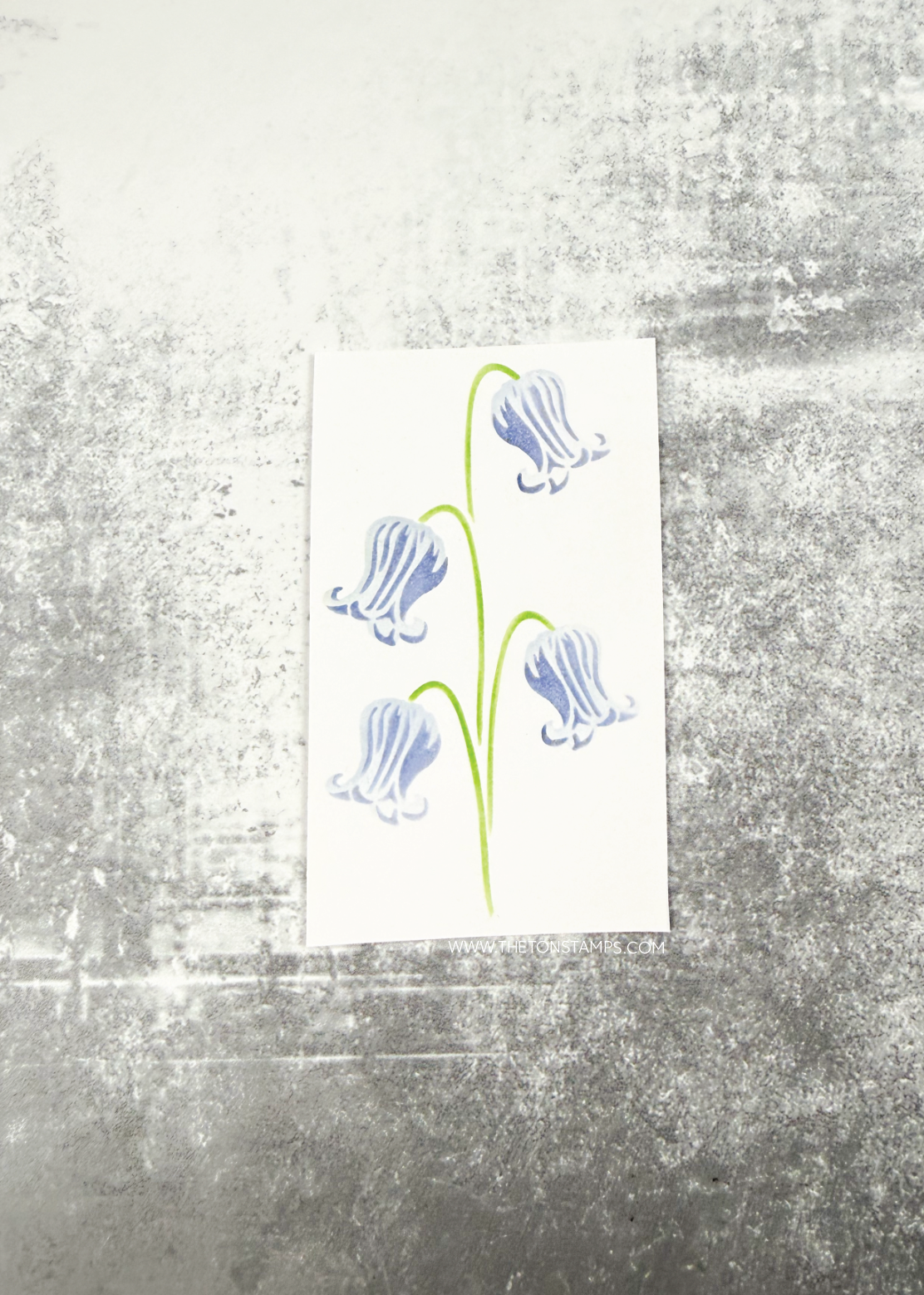 Clematis Buds Layering Stencils