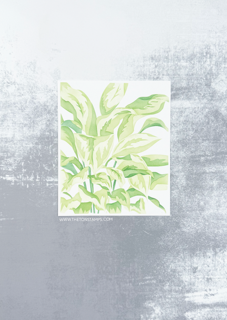 Refresh Evergreen Stencils
