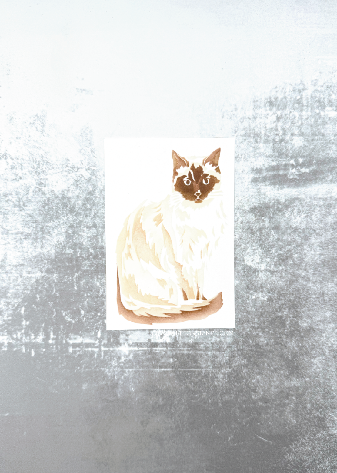 Seated Siamese Stencils