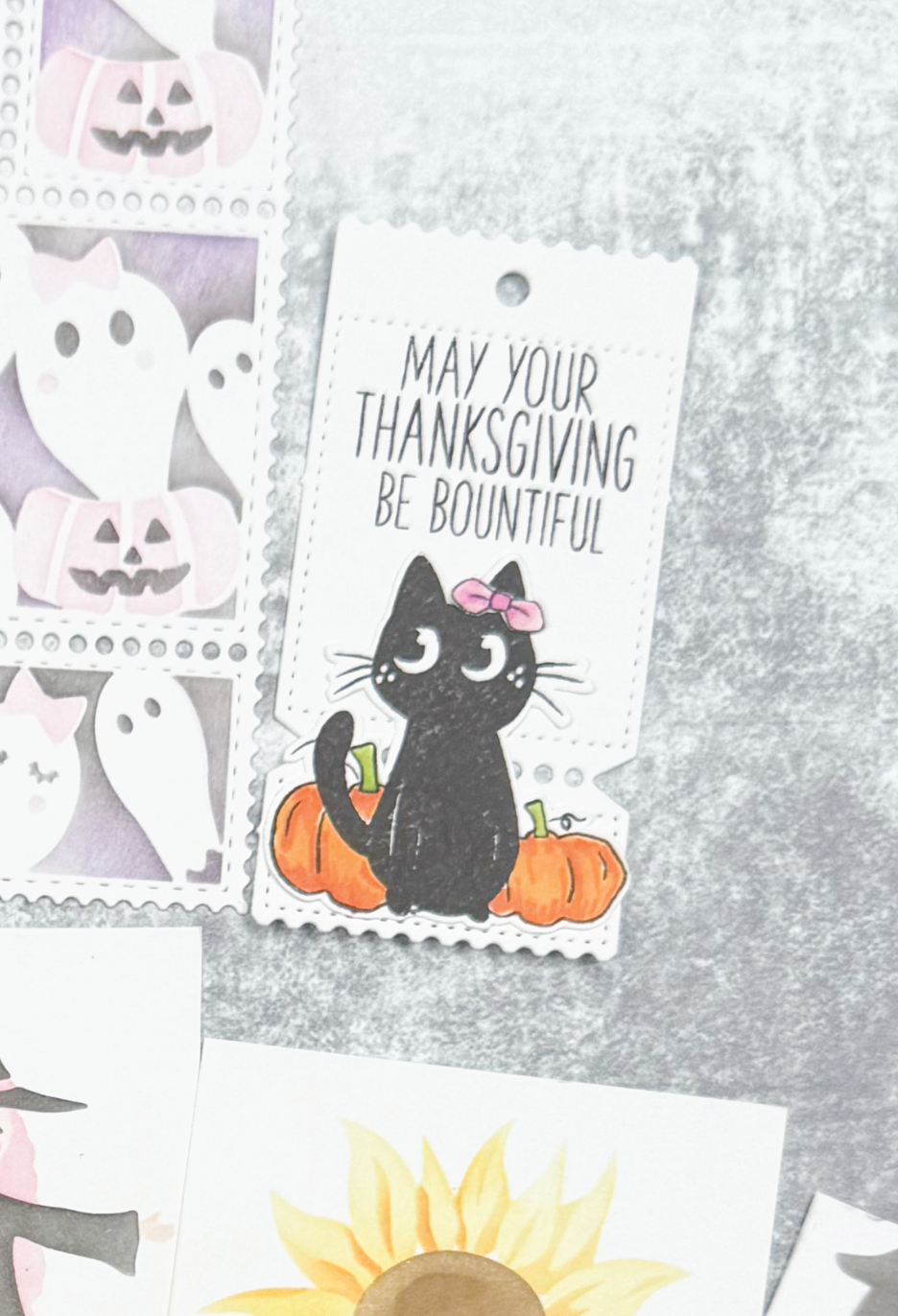 Bountiful Cat
