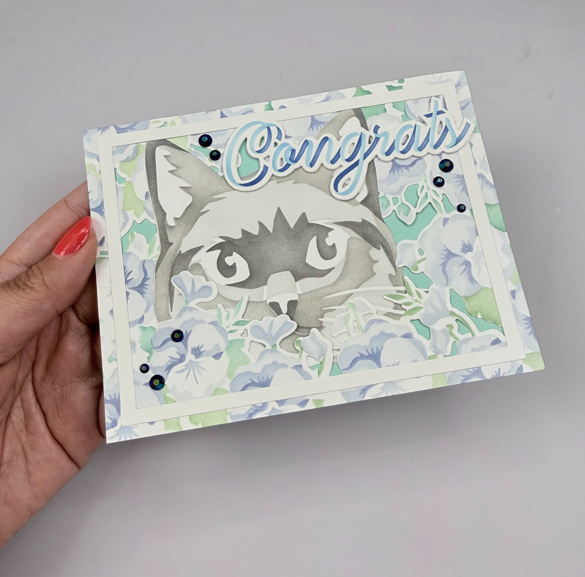 Kitty Close Up Stencils