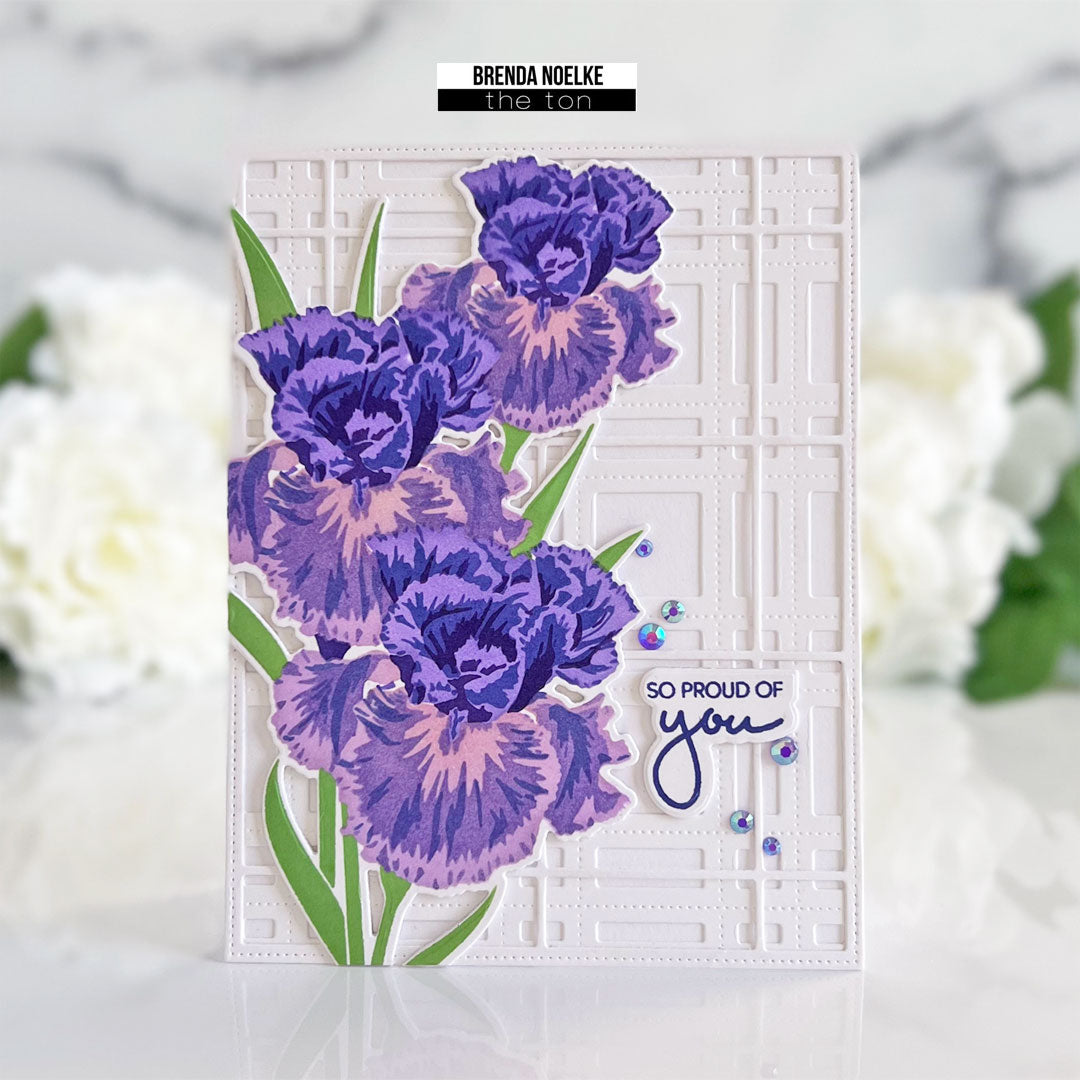 Climbing Iris Layering Stencils