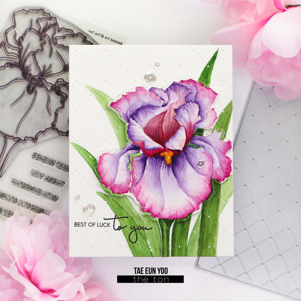 Belated Iris