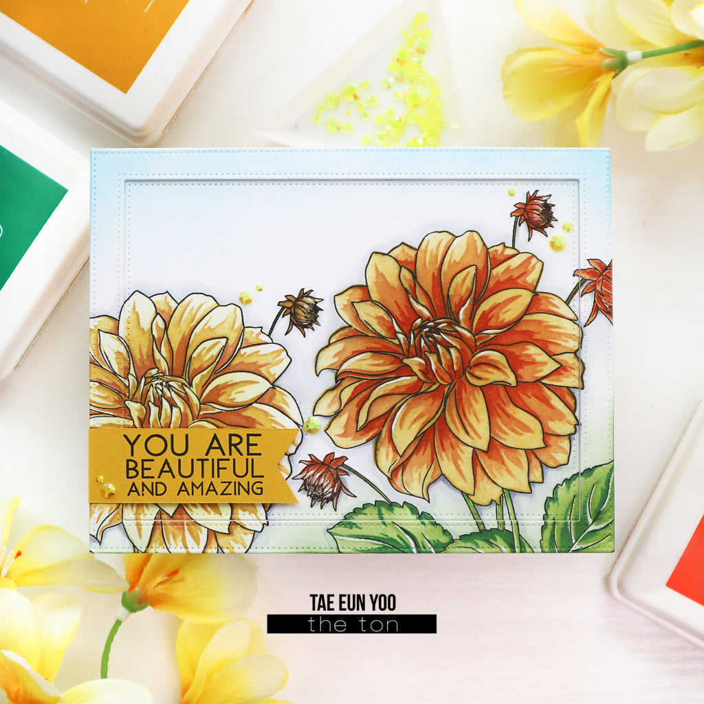 Coming Up Dahlias