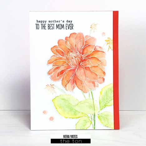 Coming Up Dahlias