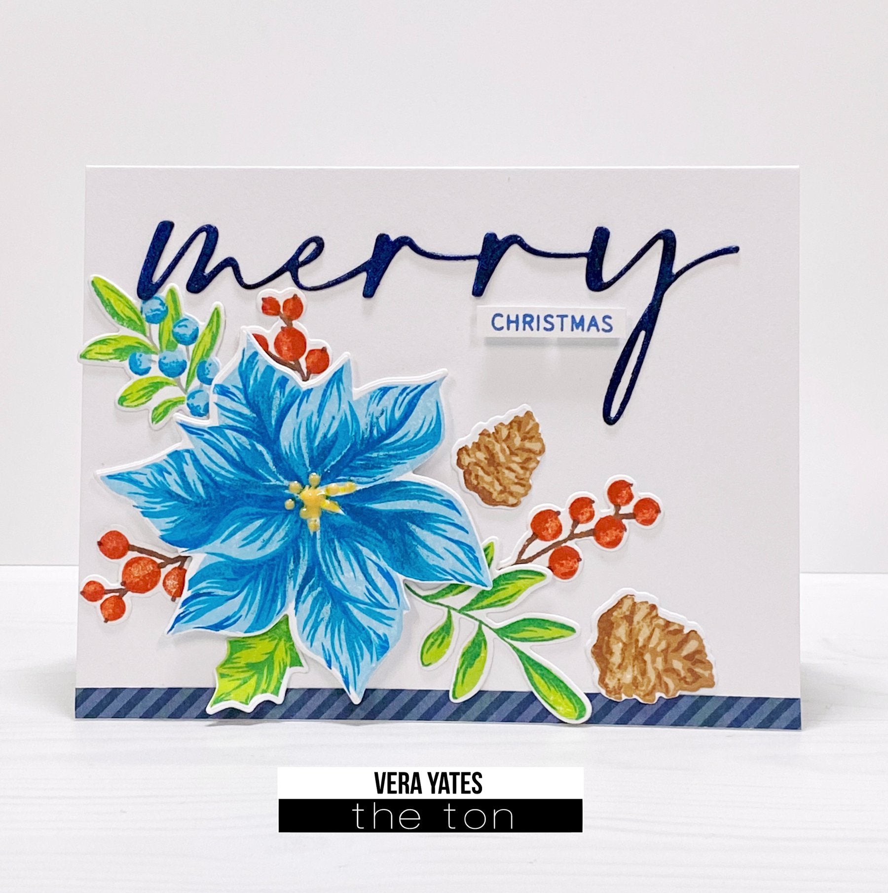 Poinsettia Wishes