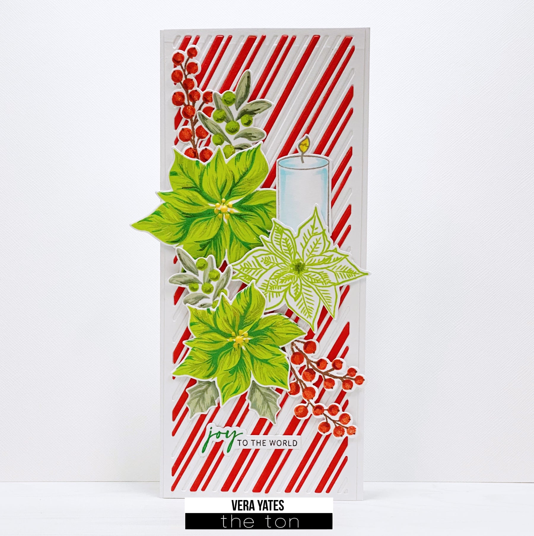 Poinsettia Wishes