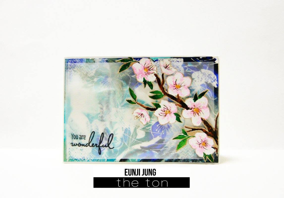 Always Cherry Blossoms