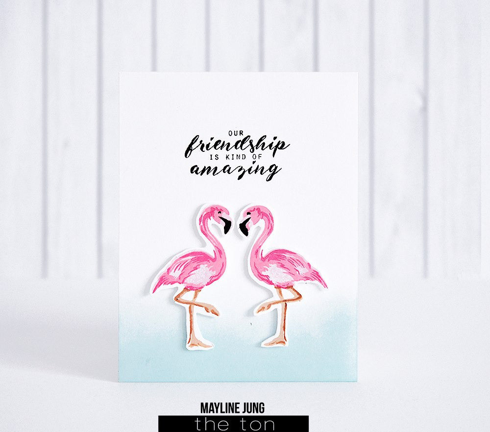 Darling Flamingos